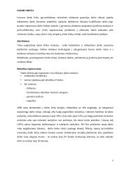 Fizinę negalią turinčių žmonių įdarbinimo politika Lietuvoje 5 puslapis