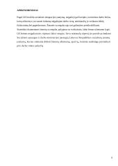 Fizinę negalią turinčių žmonių įdarbinimo politika Lietuvoje 9 puslapis