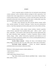 Fizinio darbo krūvio, keliant ir pernešant krovinį ergonominis tyrimas 3 puslapis