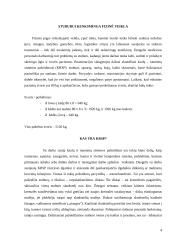 Fizinio darbo krūvio, keliant ir pernešant krovinį ergonominis tyrimas 4 puslapis