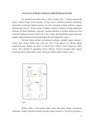 Fizinio darbo krūvio, keliant ir pernešant krovinį ergonominis tyrimas 6 puslapis