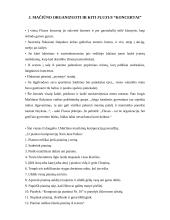 Fluxus ir postmodernizmas 6 puslapis