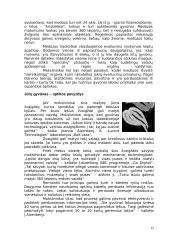 Fotoreceptoriai ir jų veikimo principai 12 puslapis