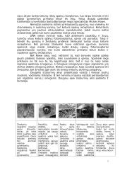 Fotoreceptoriai ir jų veikimo principai 7 puslapis