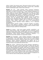 Fotoreceptoriai ir jų veikimo principai 9 puslapis