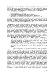 Fotoreceptoriai ir jų veikimo principai 10 puslapis