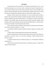 Galimų partnerių BĮ kūrimui parinkimo būdai ir jų įvertinimas 19 puslapis