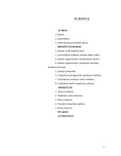 Gamybinės įmonės raidos etapai 2 puslapis