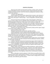 Gamybinės įmonės raidos etapai 4 puslapis