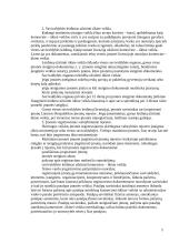 Gamybinės įmonės raidos etapai 5 puslapis