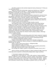 Gamybinės įmonės raidos etapai 6 puslapis