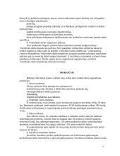 Gamybinės įmonės raidos etapai 7 puslapis