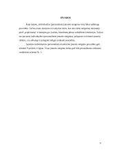 Gamybinės įmonės raidos etapai 9 puslapis