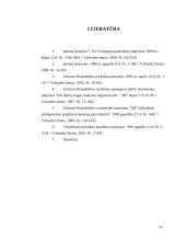 Gamybinės įmonės raidos etapai 10 puslapis