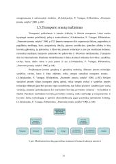 Gamybos organizavimo tobulinimas įmonėje 11 puslapis