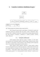 Gamybos organizavimo tobulinimas įmonėje 4 puslapis