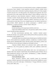 Gamybos organizavimo tobulinimas įmonėje 7 puslapis