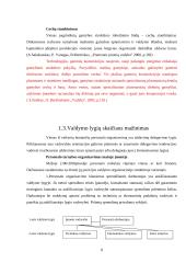 Gamybos organizavimo tobulinimas įmonėje 8 puslapis