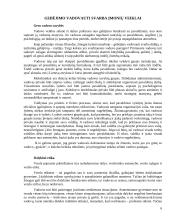 Gebėjimo vadovauti svarba įmonių veiklai 6 puslapis