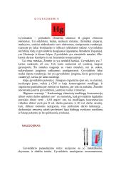 Gyvsidabris reikšmė ir žala 2 puslapis