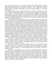 Globalizacijos formos 5 puslapis