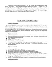 Globalizacijos formos 9 puslapis