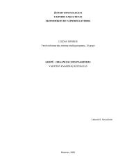 Grupė - organizacijos pagrindas