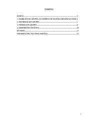 Grupė - organizacijos pagrindas 2 puslapis