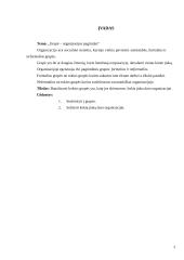 Grupė - organizacijos pagrindas 3 puslapis