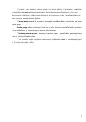 Grupė - organizacijos pagrindas 6 puslapis