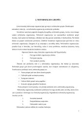 Grupė - organizacijos pagrindas 7 puslapis