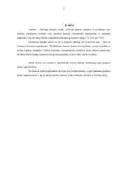 Grupinio darbo organizavimas 2 puslapis