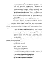 Grupinio darbo organizavimas 13 puslapis
