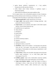 Grupinio darbo organizavimas 6 puslapis