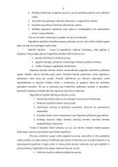 Grupinio darbo organizavimas 8 puslapis