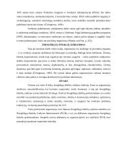 Human resources management 11 puslapis