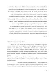 Ignalinos atominės elektrinės perspektyvos 10 puslapis