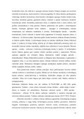 Ignalinos atominės elektrinės perspektyvos 11 puslapis