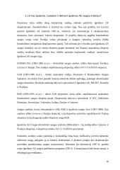 Ignalinos atominės elektrinės perspektyvos 17 puslapis