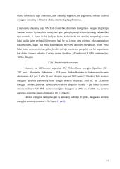 Ignalinos atominės elektrinės perspektyvos 20 puslapis