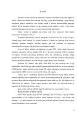 Ignalinos atominės elektrinės perspektyvos 4 puslapis