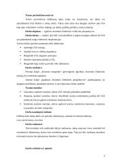 Ignalinos atominės elektrinės perspektyvos 5 puslapis