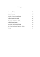 Fizinio ir juridinio asmens statusas įmonėje