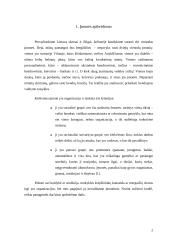 Fizinio ir juridinio asmens statusas įmonėje 2 puslapis