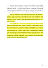 Fizinio ir juridinio asmens statusas įmonėje 12 puslapis