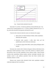 Fizinio ir juridinio asmens statusas įmonėje 14 puslapis
