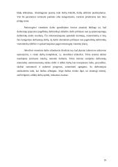 Fizinio ir juridinio asmens statusas įmonėje 19 puslapis