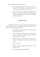 Fizinio ir juridinio asmens statusas įmonėje 3 puslapis