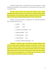 Fizinio ir juridinio asmens statusas įmonėje 4 puslapis