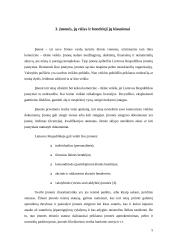 Fizinio ir juridinio asmens statusas įmonėje 5 puslapis